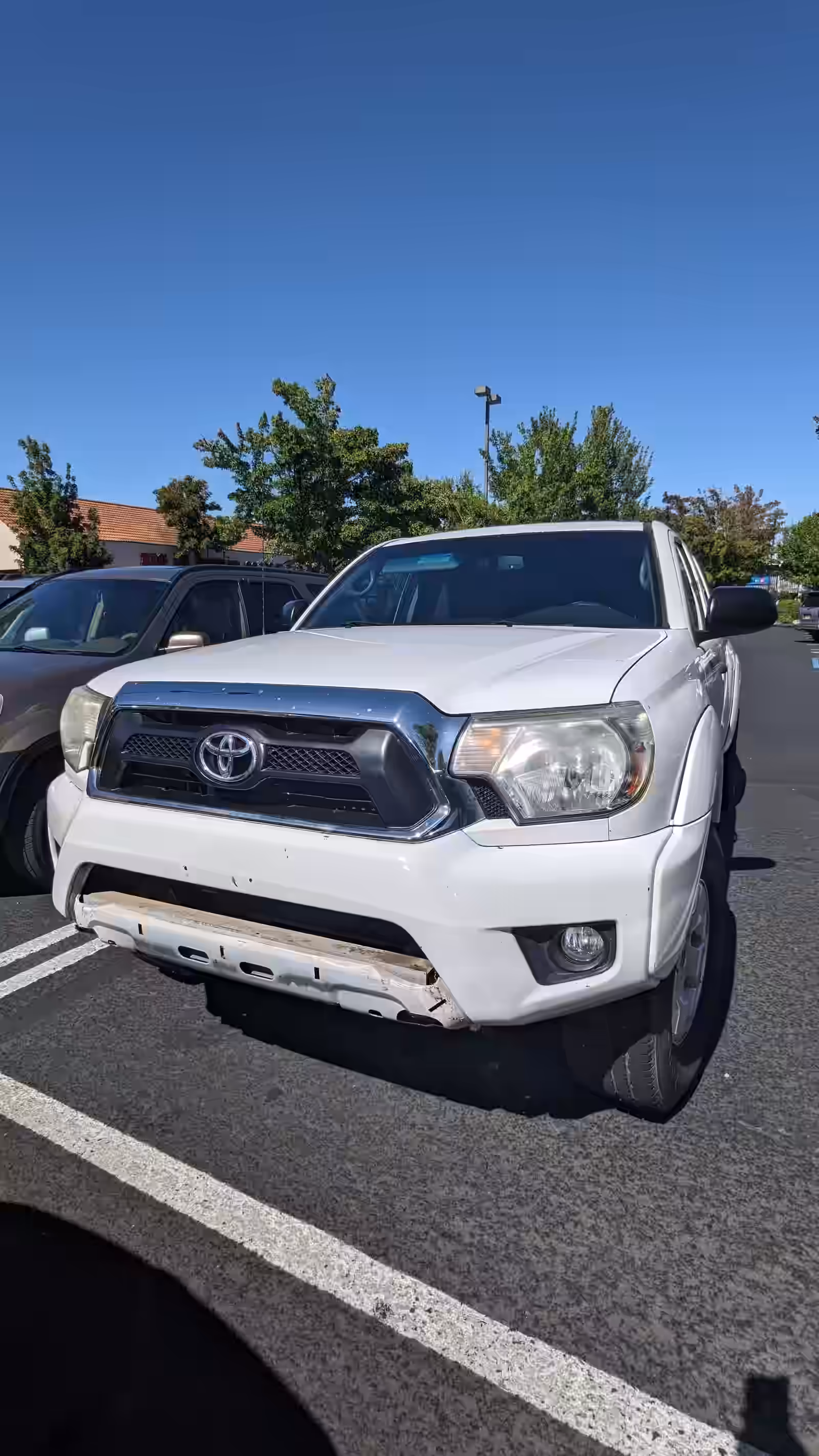 sayda car